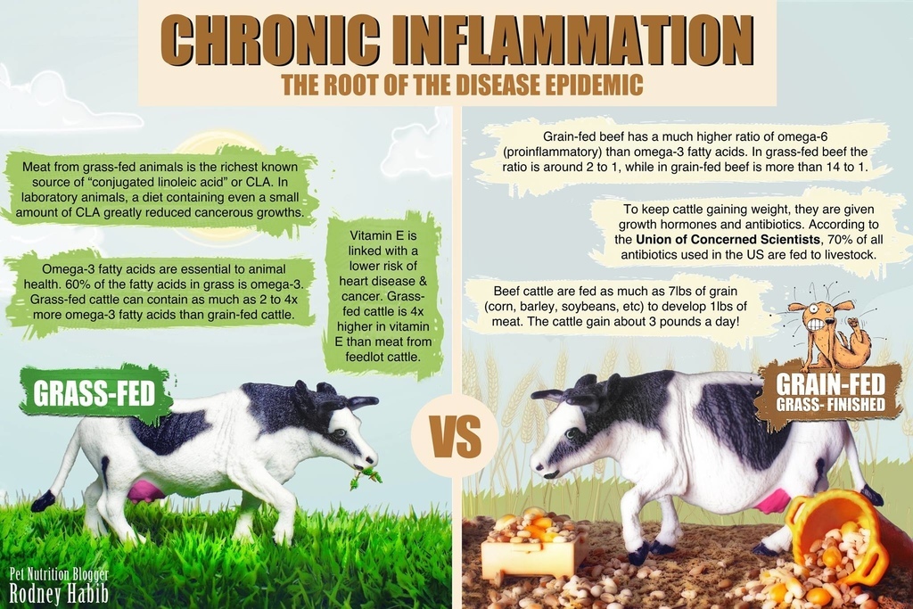 11182659_853014478106769_1144051447425671340_o 11182659_853014478106769_1144051447425671340_o