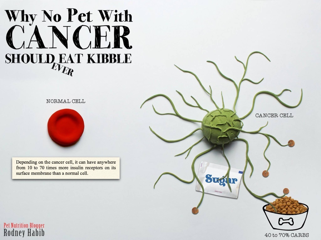 11181790_849336261807924_4487934048439970077_o 11181790_849336261807924_4487934048439970077_o