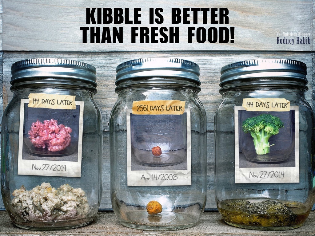 11155016_847861995288684_4752566870356805448_o