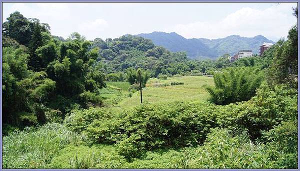 桃園大溪兩蔣文化園區 - 頭寮生態步道 １