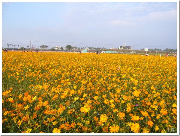 24699551:二週年紀念(下)-新社花海遊