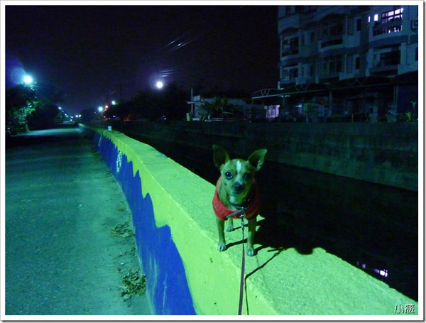 24715979:明道大學池釣&amp;夜晚的野餐