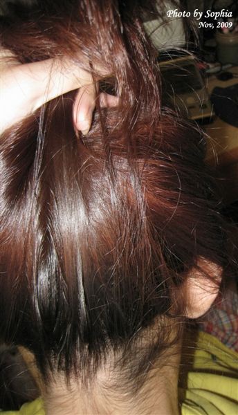 IMG_3877.JPG IMG_3877.JPG