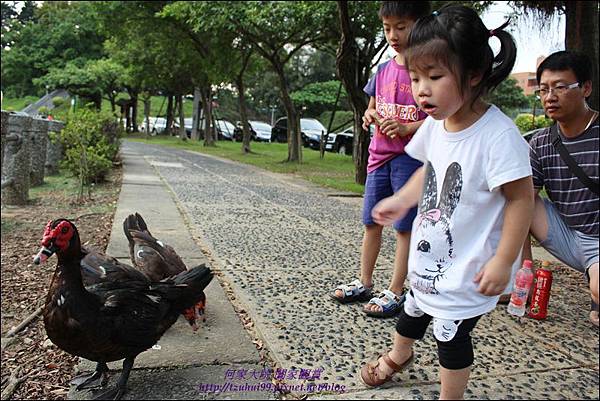 體育園區12 體育園區12