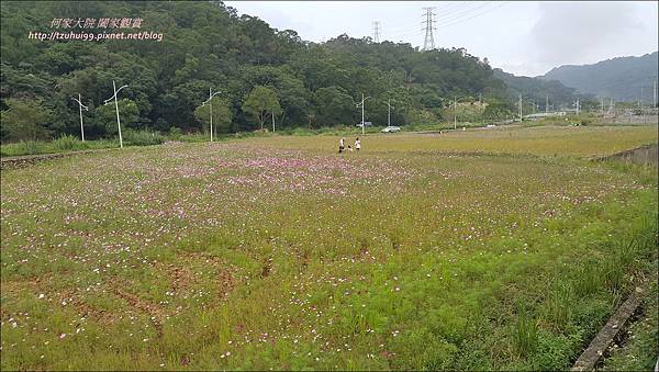 林口健行活動10.jpg