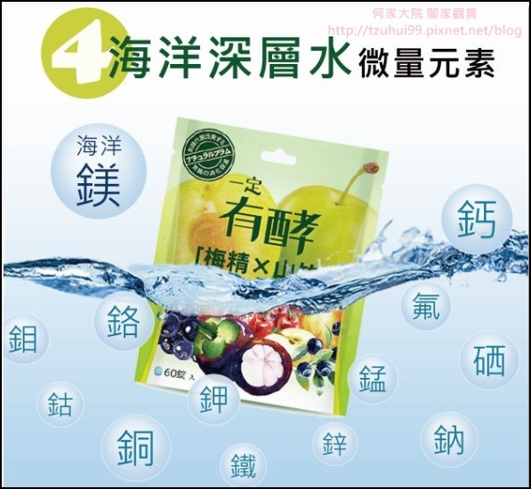 一錠有酵 99 一錠有酵 99