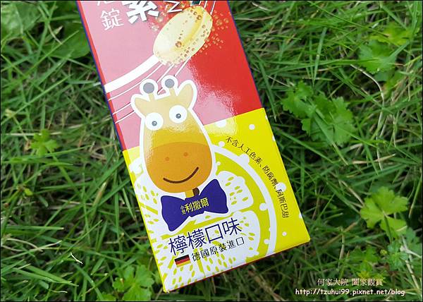 小兒利撒爾 12.jpg 小兒利撒爾 12.jpg