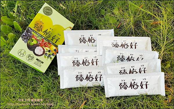 臻梅好 06.jpg 臻梅好 06.jpg