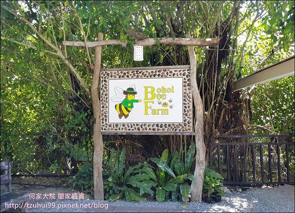 菲律賓蜜蜂農場 01.jpg 菲律賓蜜蜂農場 01.jpg