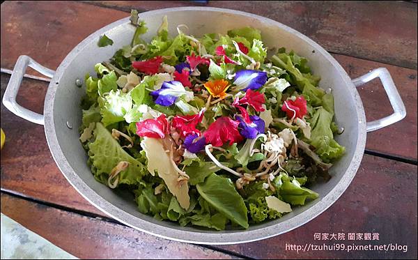 菲律賓蜜蜂農場 10.jpg 菲律賓蜜蜂農場 10.jpg