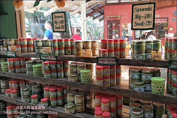 菲律賓蜜蜂農場 21.jpg 菲律賓蜜蜂農場 21.jpg