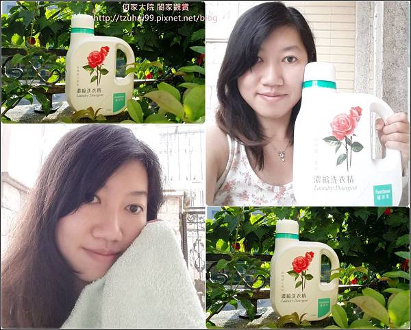 植淨美濃縮洗衣精-玫瑰甜心香氛 16.jpg 植淨美濃縮洗衣精-玫瑰甜心香氛 16.jpg