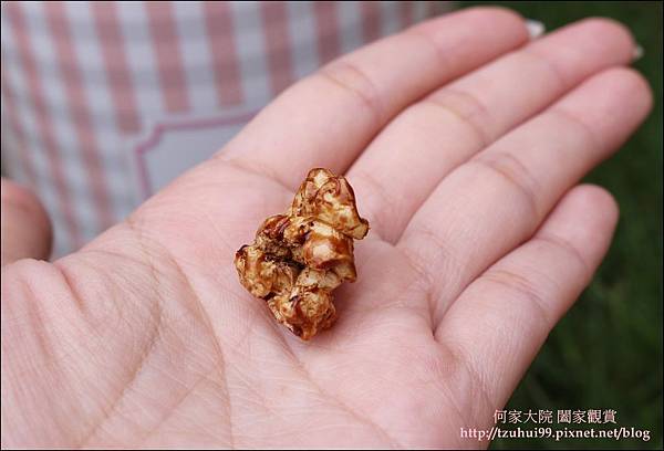 米樂精緻爆米花 13.JPG