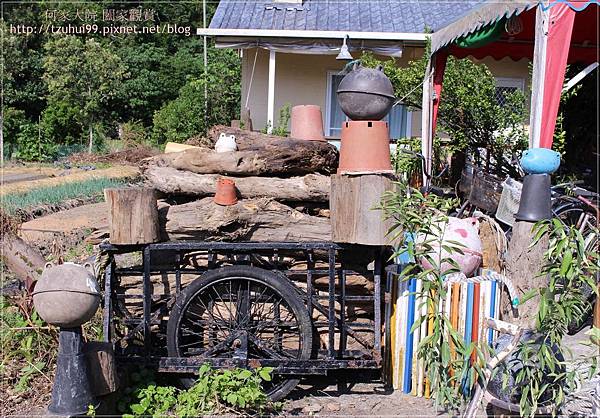 宜蘭鳳凰宿民宿甲蟲生態體驗館 18.JPG