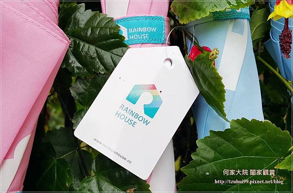 Rainbow house 城市對話傘 02.jpg