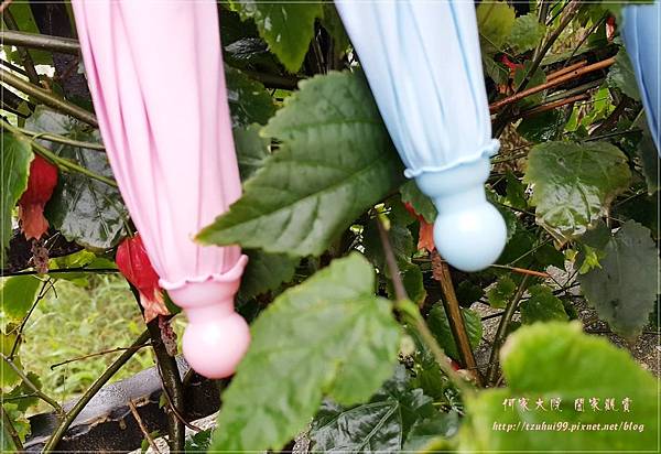 Rainbow house 城市對話傘 11.jpg Rainbow house 城市對話傘 11.jpg