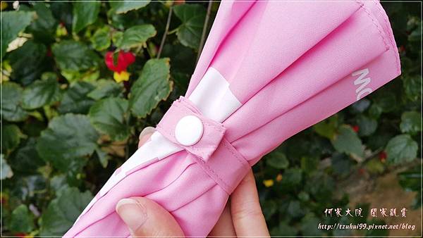 Rainbow house 城市對話傘 12.jpg