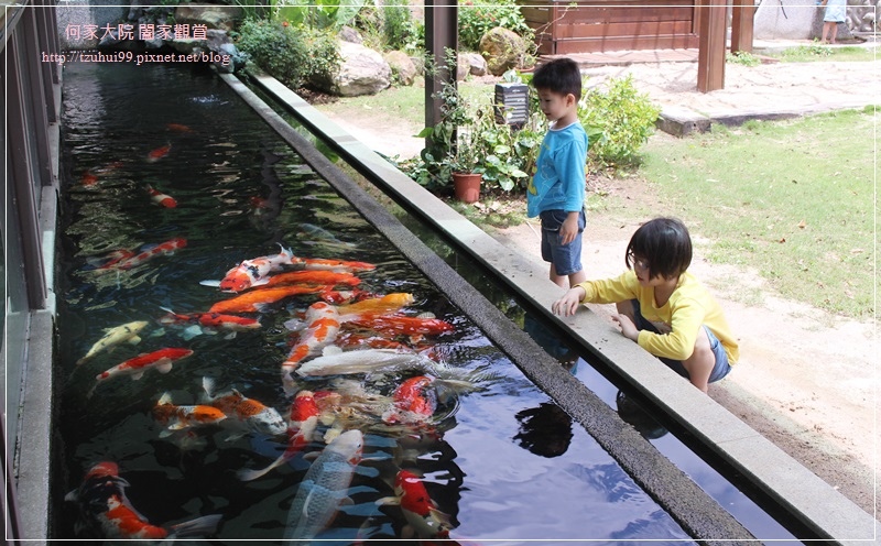 淡水日光行館親子景觀餐廳 12.JPG