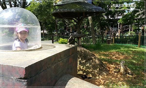 公司家庭日(新竹六福村水路雙樂園) 17.jpg