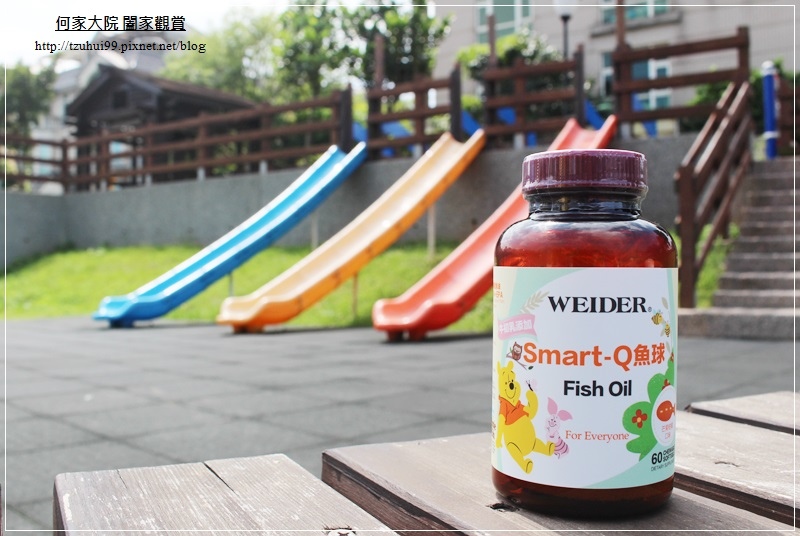 Weider威德SMARTQ小魚球 01.JPG