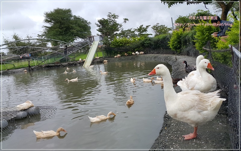 宜蘭五結鴨寮故事館(無料免費親子景點) 23.jpg