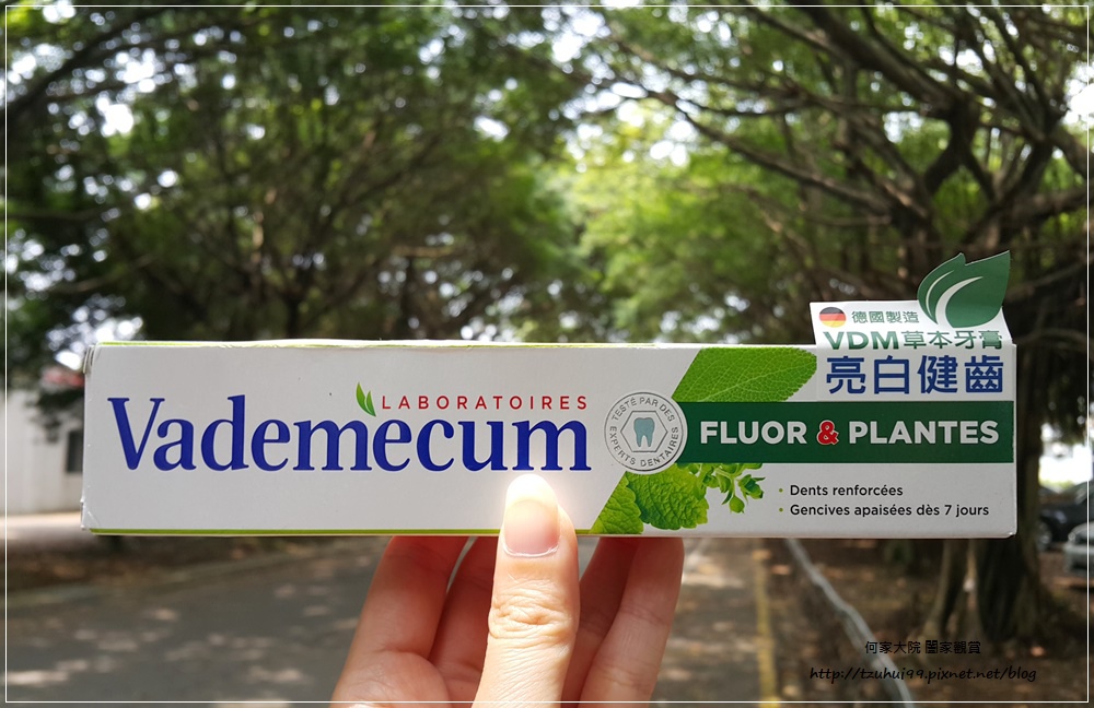 德國製造Vademecum草本清新健齒牙膏 01.jpg 德國製造Vademecum草本清新健齒牙膏 01.jpg