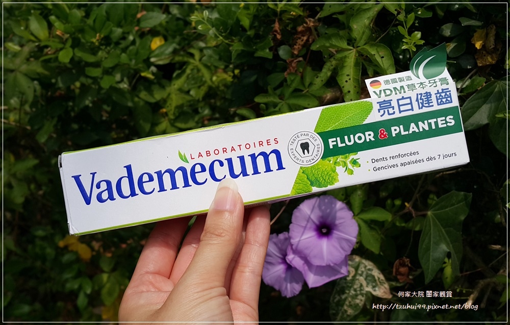 德國製造Vademecum草本清新健齒牙膏 02.jpg 德國製造Vademecum草本清新健齒牙膏 02.jpg