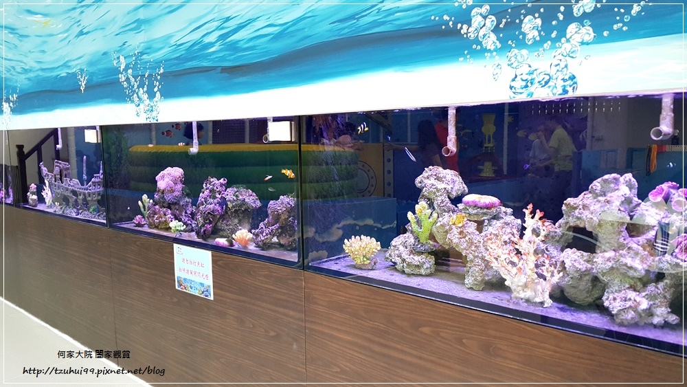 童遊水族館(童遊親子空間林口分館)林口親子餐廳 18.jpg