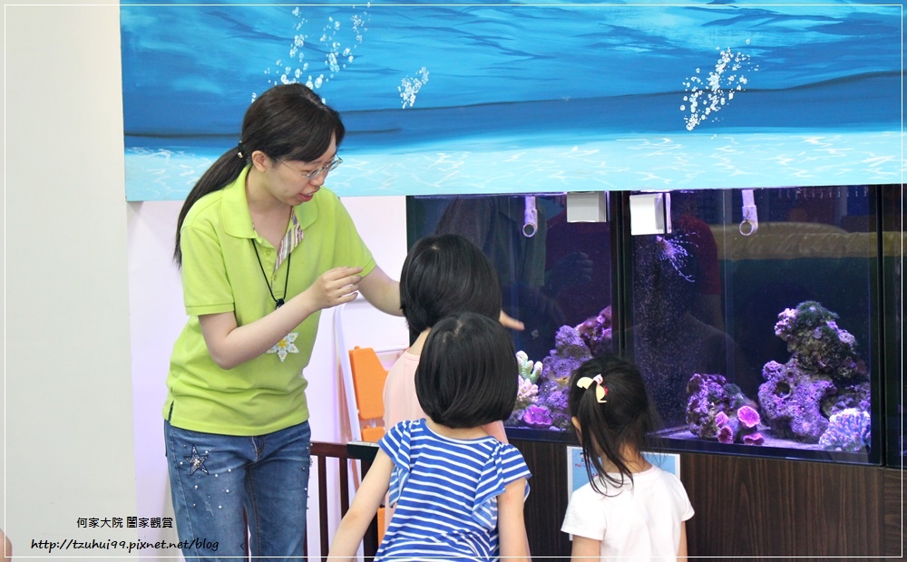 童遊水族館(童遊親子空間林口分館)林口親子餐廳 19.JPG