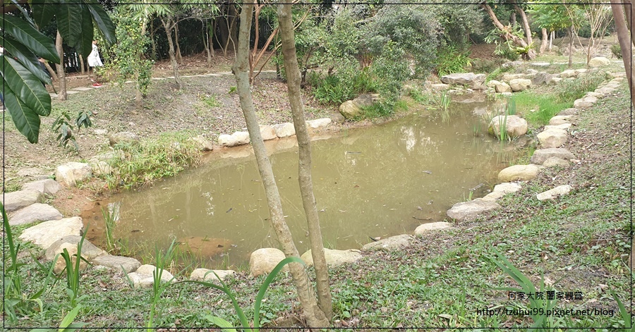 林口樂活公園(捷運車廂公園)特色公園+共融公園+特色溜滑梯 17.jpg