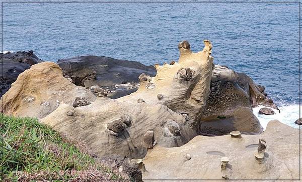 基隆景點分享 和平島公園+台灣小威尼斯正濱漁港+IG網美景點阿根納造船廠 25.jpg