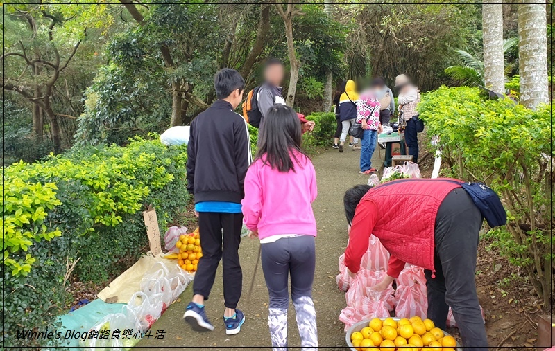 桃園蘆竹五酒桶山步道(南天宮旁步道+桃園親子景觀步道+大草坪) 04.jpg