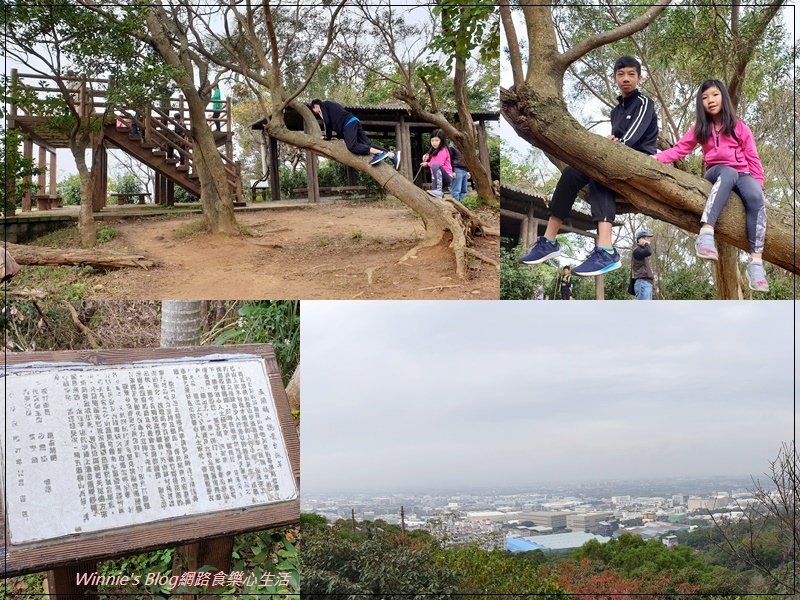 桃園蘆竹五酒桶山步道(南天宮旁步道+桃園親子景觀步道+大草坪) 11.jpg