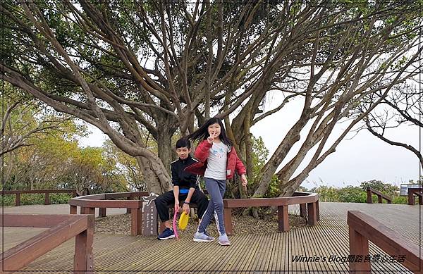 桃園蘆竹五酒桶山步道(南天宮旁步道+桃園親子景觀步道+大草坪) 28.jpg