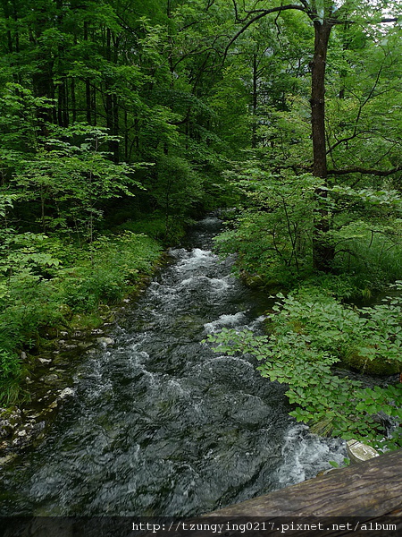 P1060253.JPG