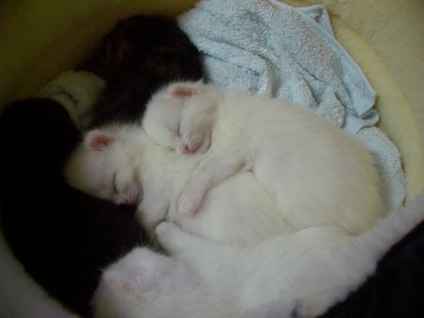zzz...