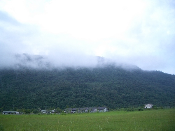 IMGP3167