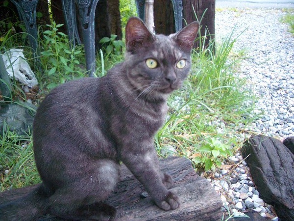 IMGP3175