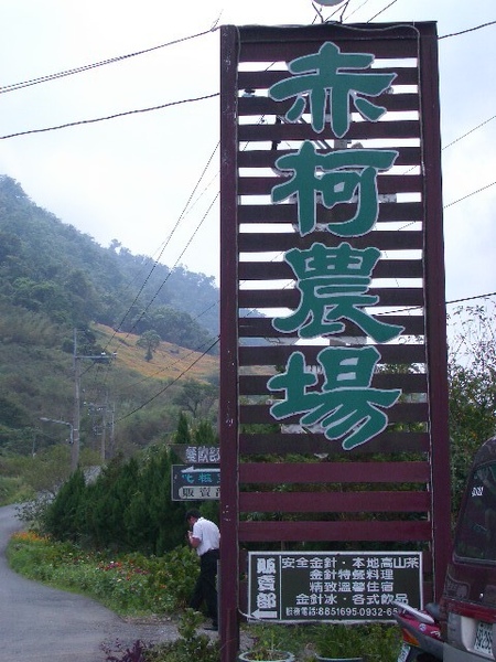 IMGP3211