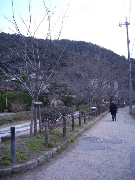IMGP2467