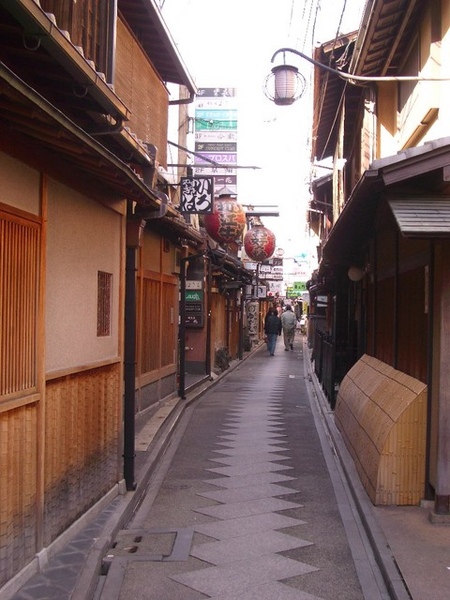 IMGP2505