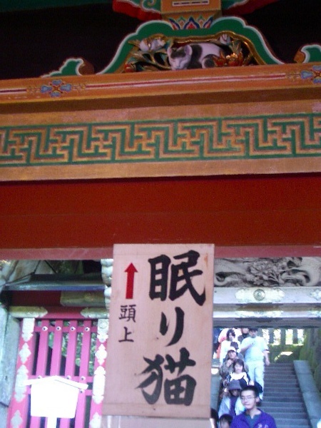 東照宮之眠貓（跟我家小豬有像喔！）