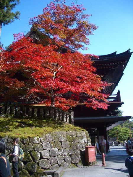 東照宮一角