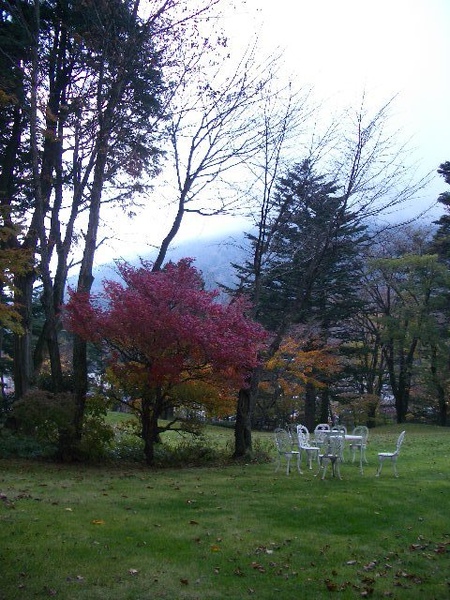 Lakeside Inn的庭園