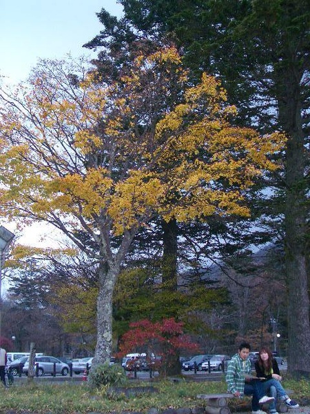 IMGP3524