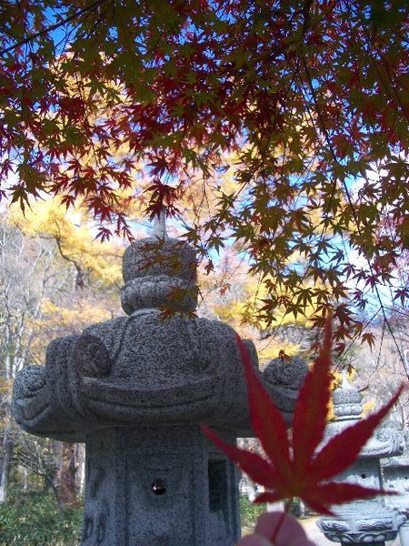 紅葉