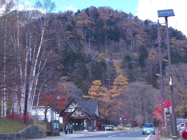奧日光