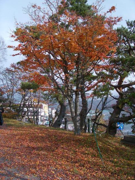 IMGP3674