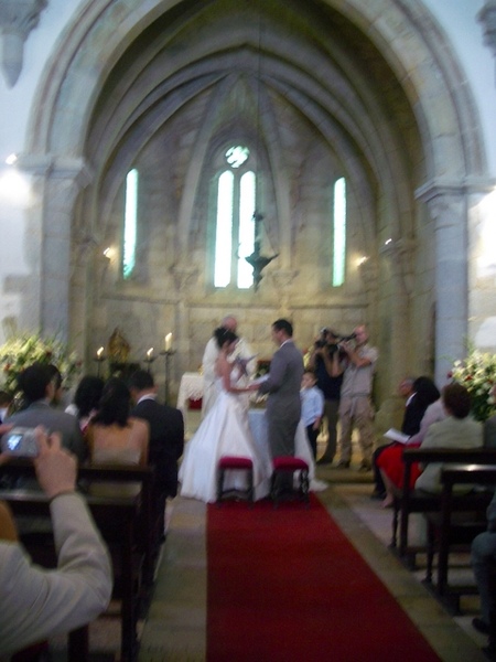 IMGP4235
