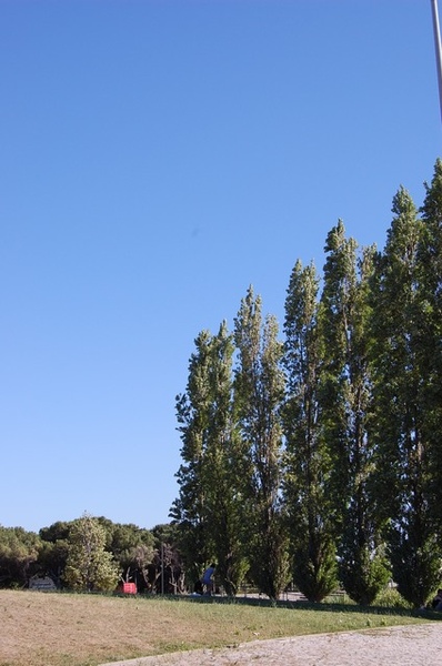 Parq Eduardo VII